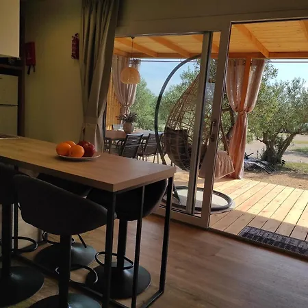 Кемпинг Zen Zone Premium Mobile *