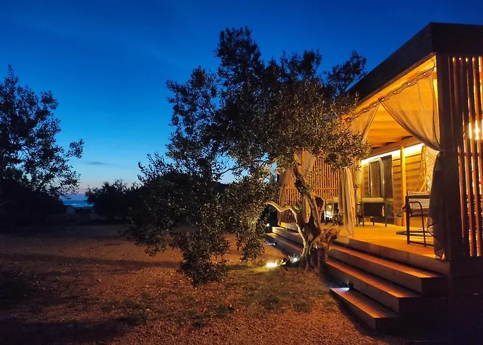 Zen Zone Premium Mobile * דראגה