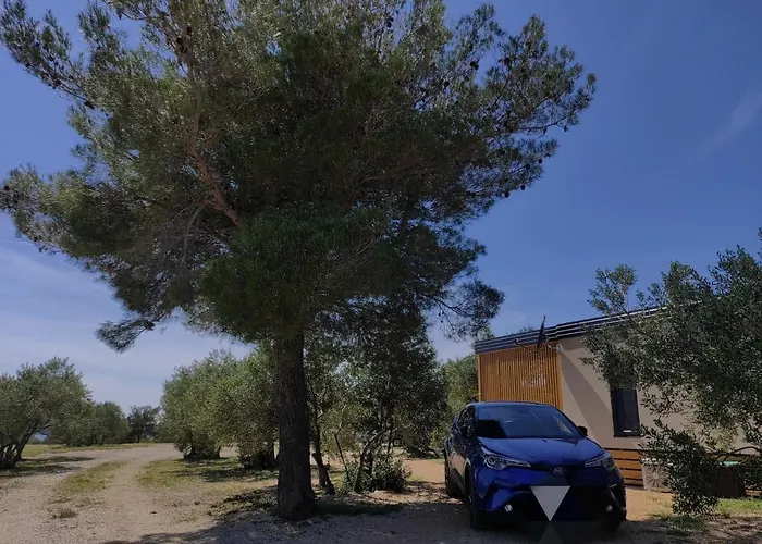 Zen Zone Premium Mobile Кемпинг