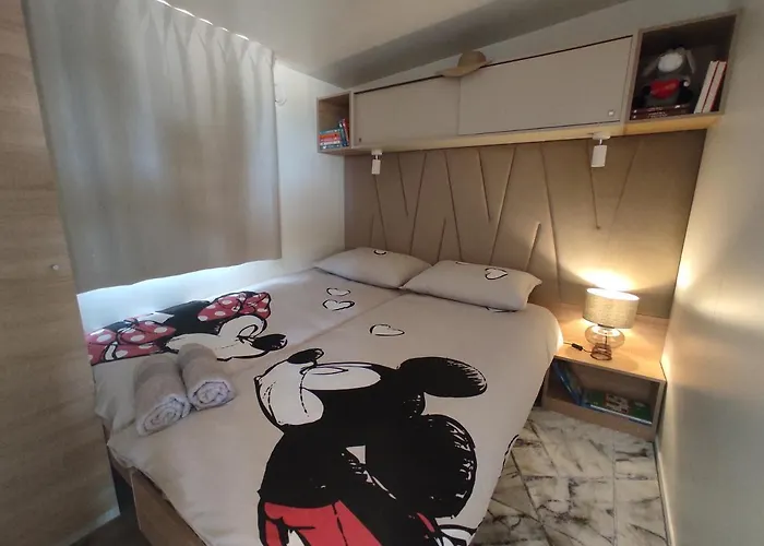 Zen Zone Premium Mobile