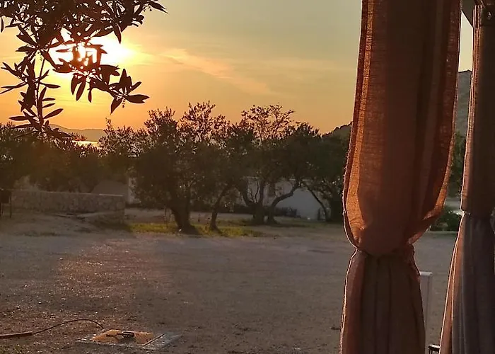 Zen Zone Premium Mobile דראגה