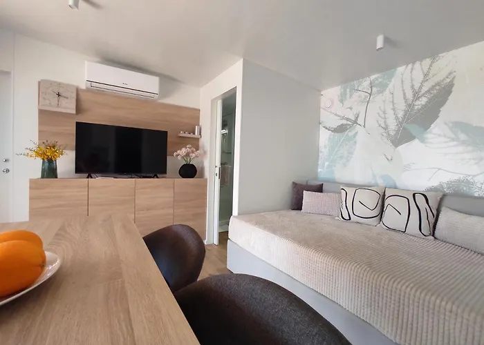 Zen Zone Premium Mobile *