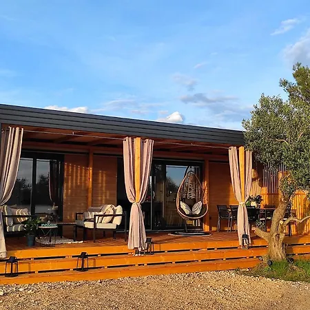 Zen Zone Premium Mobile *