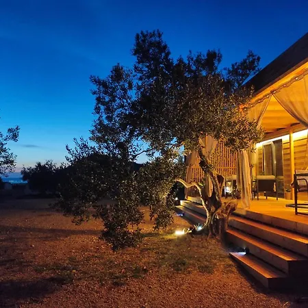 Zen Zone Premium Mobile * Drage