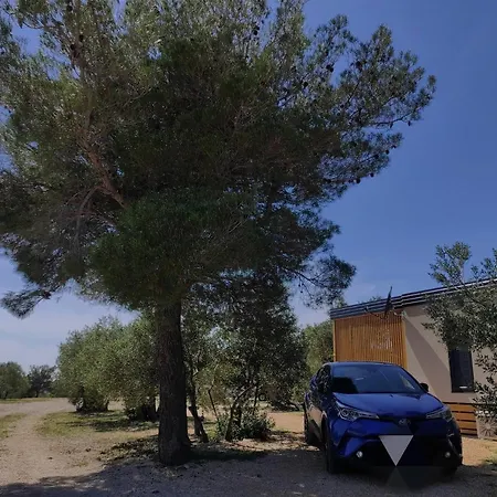 Zen Zone Premium Mobile Campsite