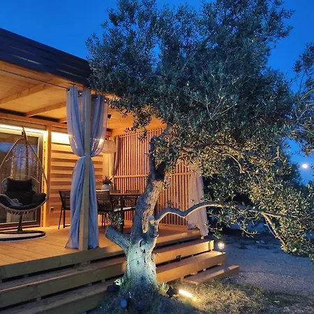 Zen Zone Premium Mobile *