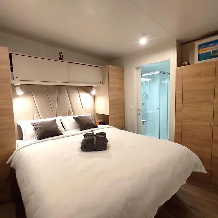 Zen Zone Premium Mobile