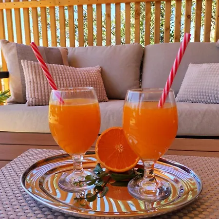 Zen Zone Premium Mobile *