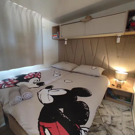 Zen Zone Premium Mobile