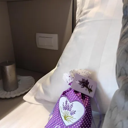 Zen Zone Premium Mobile *