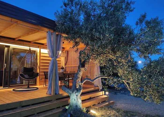 Zen Zone Premium Mobile *