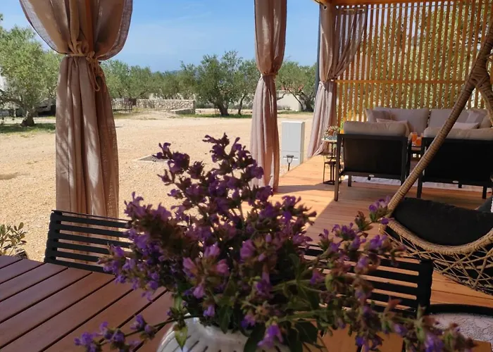 Camping Zen Zone Premium Mobile *